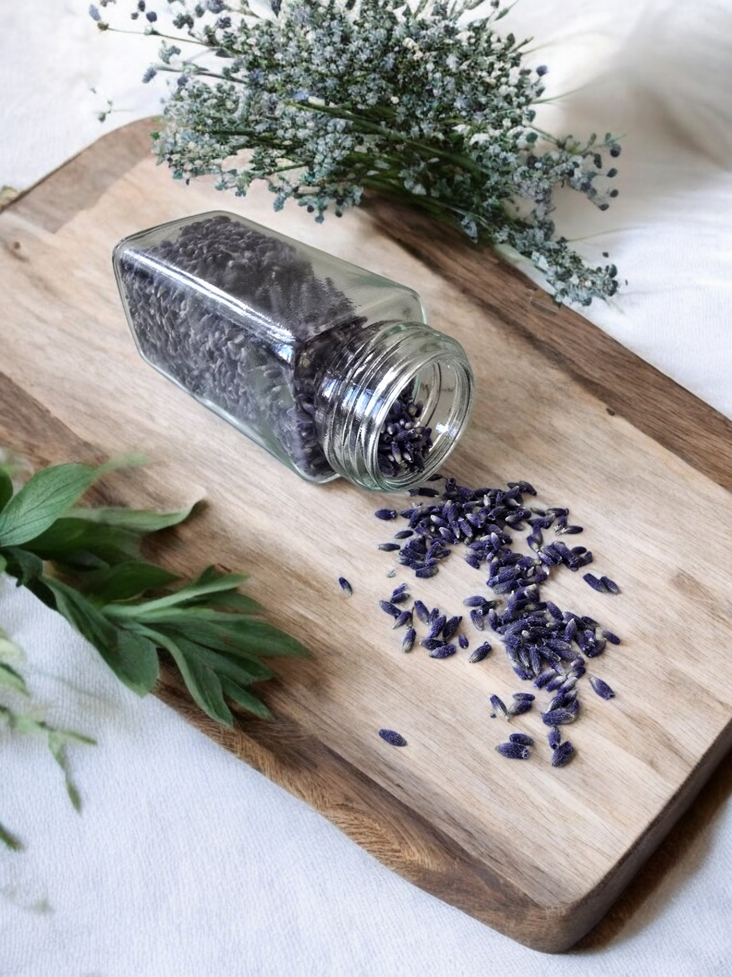 Culinary Lavender Buds