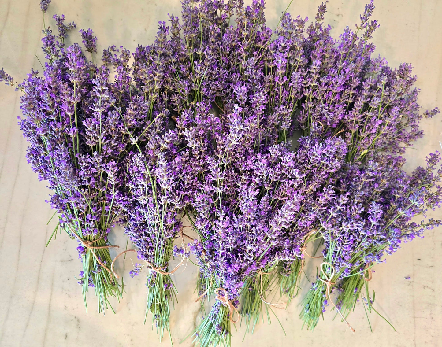 Dried Lavender Bouquet (2 sizes to choose from)